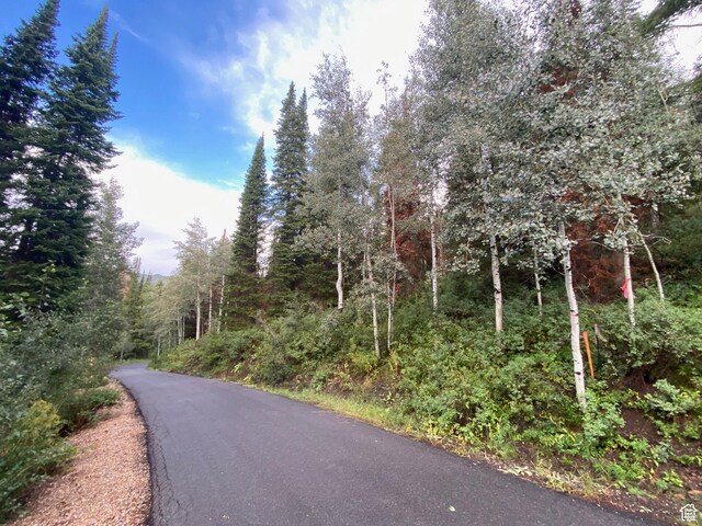 551 Red Fir Way Unit 551, Oakley, UT 84055