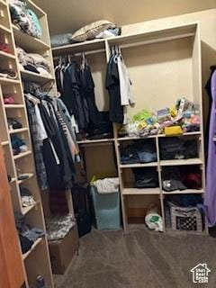 87 N Loafer Canyon Rd, Elk Ridge, UT 84651 - view of storage room