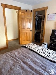 87 N Loafer Canyon Rd, Elk Ridge, UT 84651 - bedroom featuring a spacious closet, carpet flooring, a closet, and baseboards