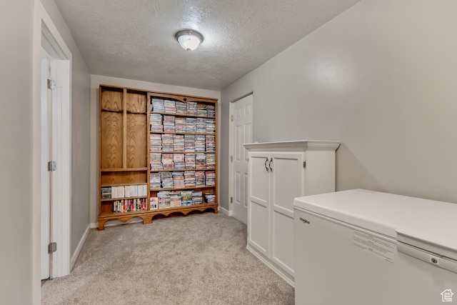 interior space featuring baseboards, light colored carpet, and a textured ceiling