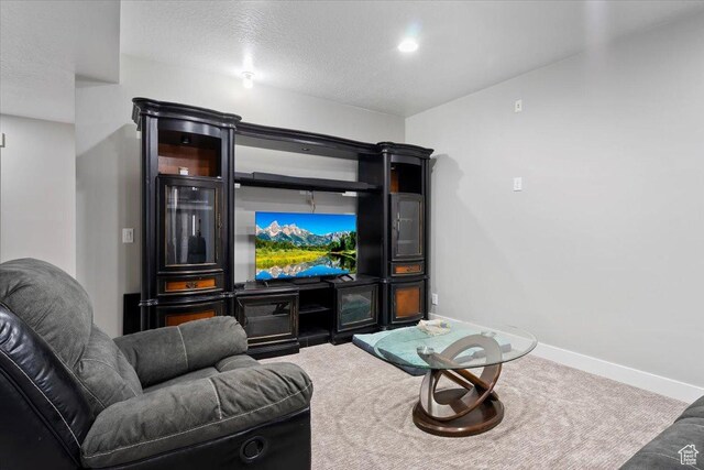 393 S Corner View Dr, Tooele, UT 84074 - living area featuring carpet floors, baseboards, and a textured ceiling