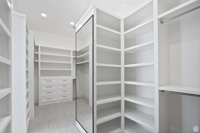 1682 N 2250 W, Provo, UT 84604 - spacious closet with light carpet