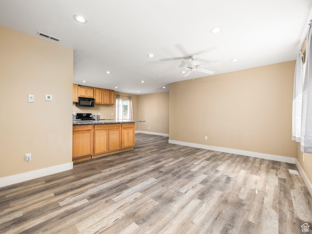 8915 E 33550 N, Fairview, UT 84629 - kitchen featuring recessed lighting, light wood-type flooring, black appliances, and ceiling fan