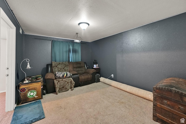 1841 S Nevada Ave, Provo, UT 84606 - carpeted living area with a textured wall and a textured ceiling