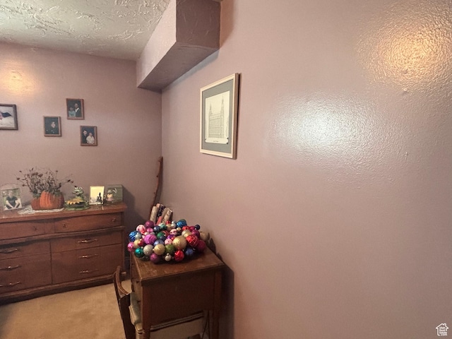 80 S 6000 W, Mendon, UT 84325 - interior space with light carpet