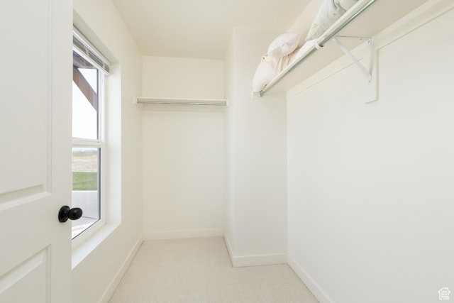 spacious closet with carpet