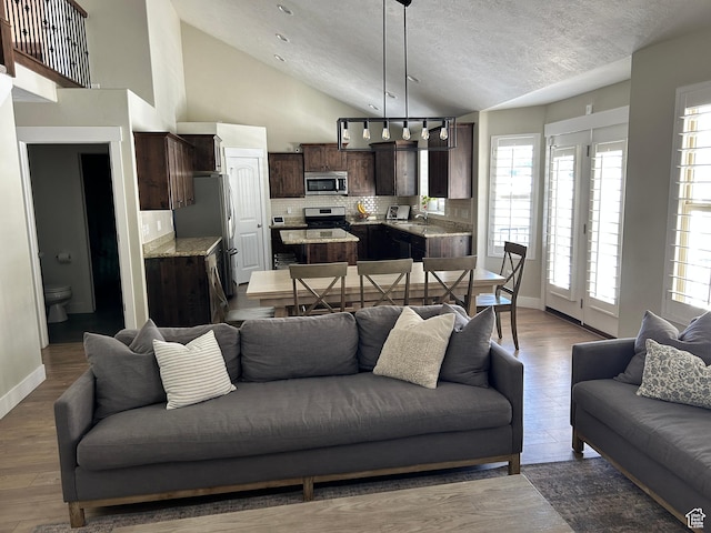 10124 S Autumn Breeze Ln W, South Jordan, UT 84009 - living room with a textured ceiling, wood finished floors, high vaulted ceiling, and baseboards