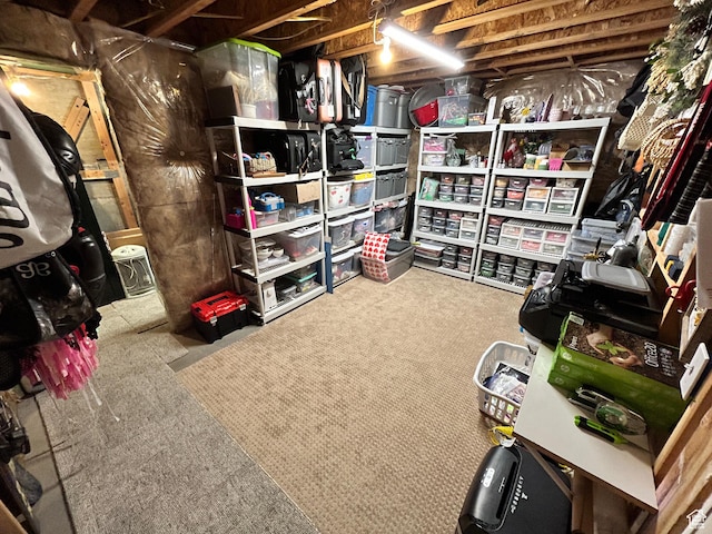 10124 S Autumn Breeze Ln W, South Jordan, UT 84009 - view of storage room