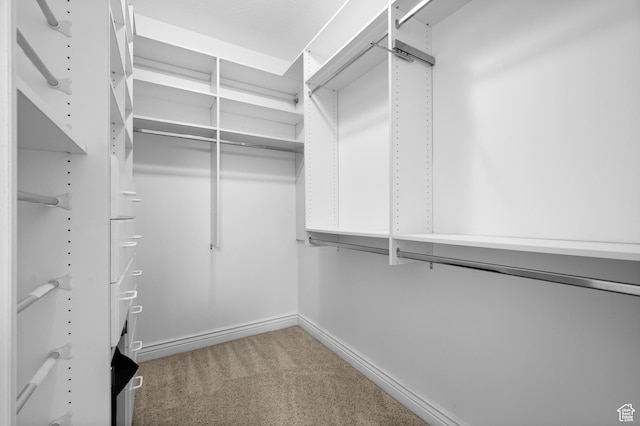 6041 S 2230 E, Holladay, UT 84121 - spacious closet featuring carpet floors