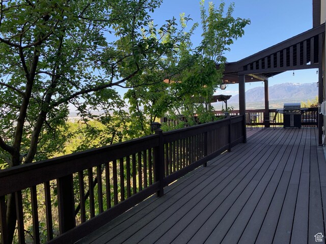 14874 S Manilla Dr, Draper, UT 84020 - photo 65
