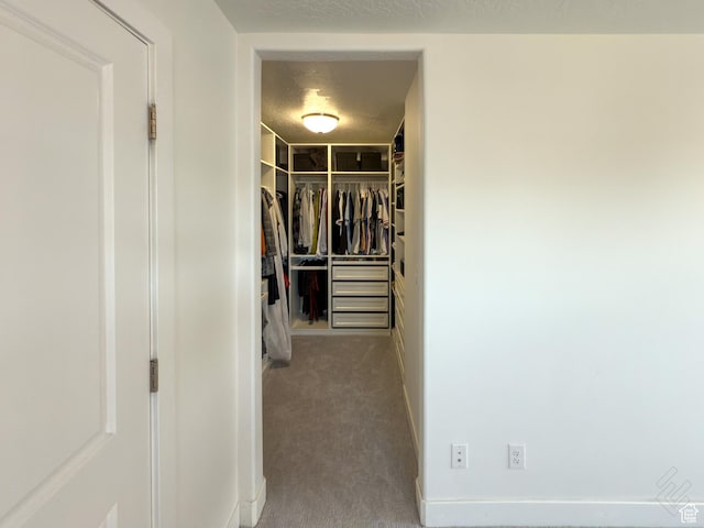5051 W Bilston Ln S, Herriman, UT 84096 - spacious closet with carpet flooring