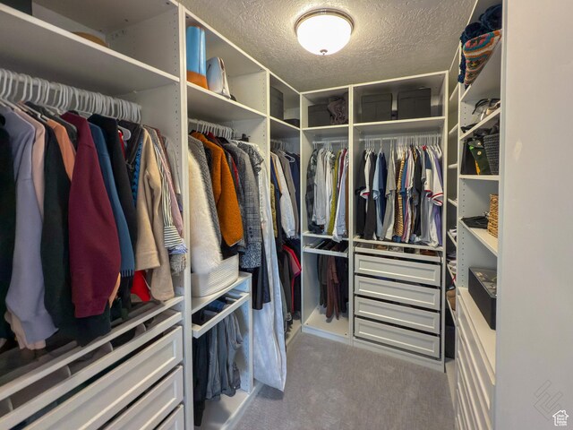 5051 W Bilston Ln S, Herriman, UT 84096 - spacious closet featuring carpet