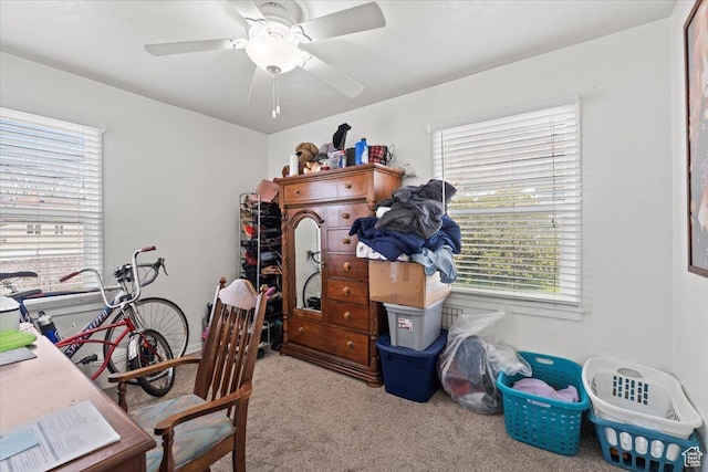 office area with plenty of natural light, a ceiling fan, and carpet floors