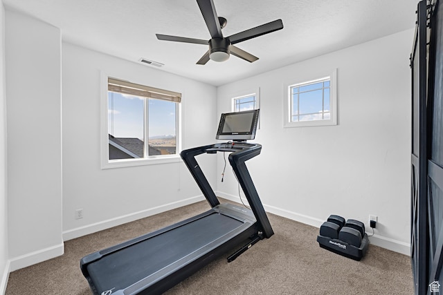 exercise room featuring ceiling fan, baseboards, plenty of natural light, and carpet floors