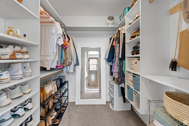 spacious closet featuring carpet floors