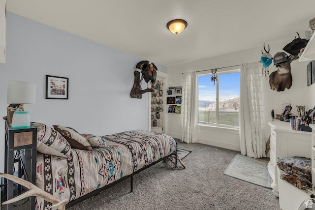 1962 Bluff Crest Rd Unit 4, Francis, UT 84036 - carpeted bedroom with baseboards
