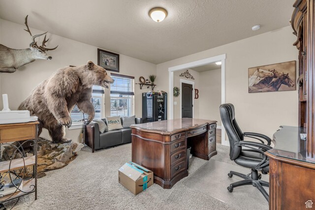1962 Bluff Crest Rd Unit 4, Francis, UT 84036 - office area with carpet and a textured ceiling