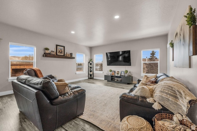 1962 Bluff Crest Rd Unit 4, Francis, UT 84036 - living area with a textured ceiling, wood finished floors, baseboards, and recessed lighting