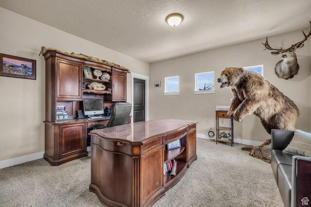 1962 Bluff Crest Rd Unit 4, Francis, UT 84036 - office area with light carpet, baseboards, and a textured ceiling