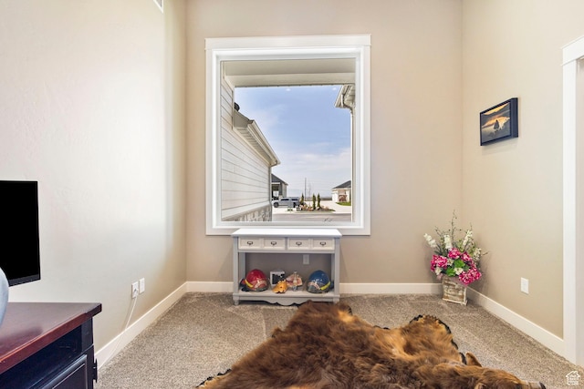 1125 S 400 E, Salem, UT 84653 - details with baseboards and carpet