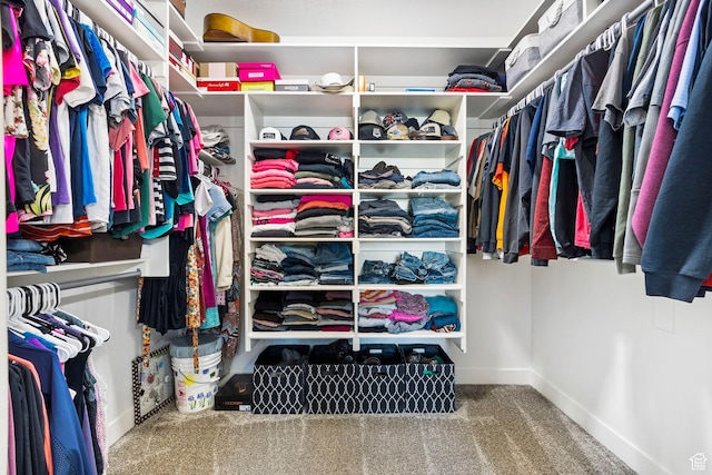 1125 S 400 E, Salem, UT 84653 - walk in closet featuring carpet
