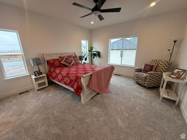3758 W Alder Ct, Taylor, UT 84401 - bedroom featuring baseboards, carpet flooring, ceiling fan, and multiple windows