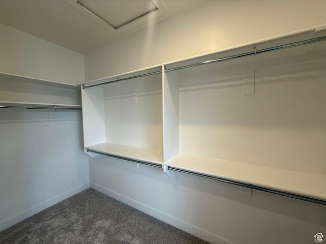 3758 W Alder Ct, Taylor, UT 84401 - walk in closet featuring dark colored carpet and attic access