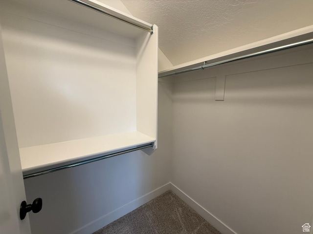 3758 W Alder Ct, Taylor, UT 84401 - walk in closet featuring carpet flooring