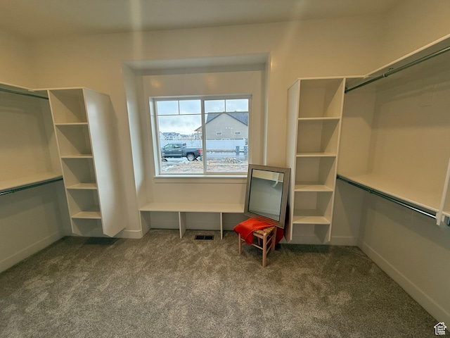 3758 W Alder Ct, Taylor, UT 84401 - spacious closet with visible vents and carpet flooring