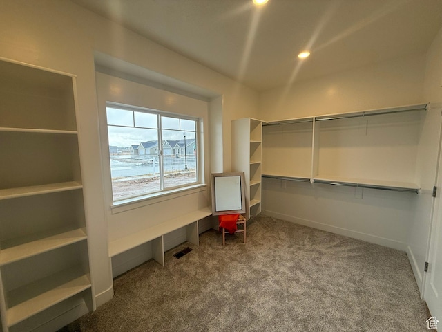 3758 W Alder Ct, Taylor, UT 84401 - walk in closet with visible vents and carpet