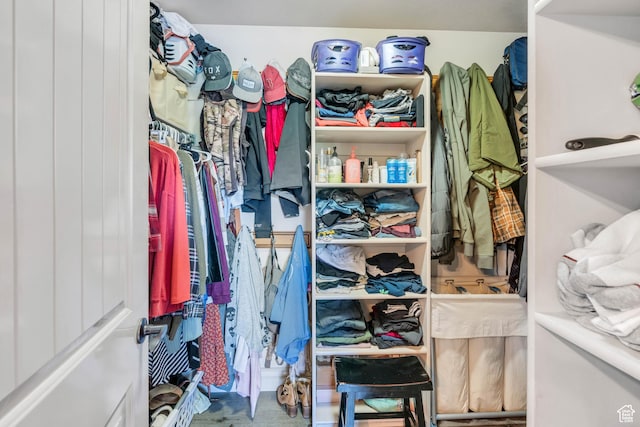 4071 S Sandpiper Ln, Saratoga Springs, UT 84045 - view of spacious closet