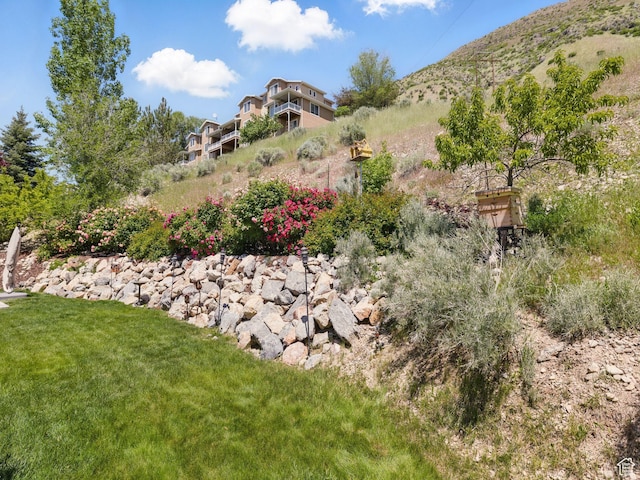 1411 S Slate Canyon Dr, Provo, UT 84606 - view of yard