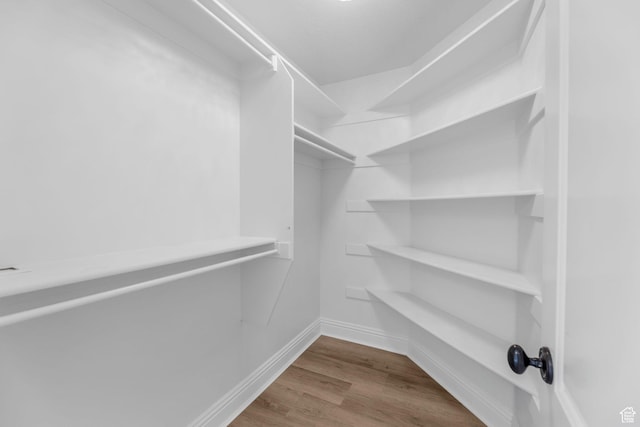 spacious closet featuring wood finished floors