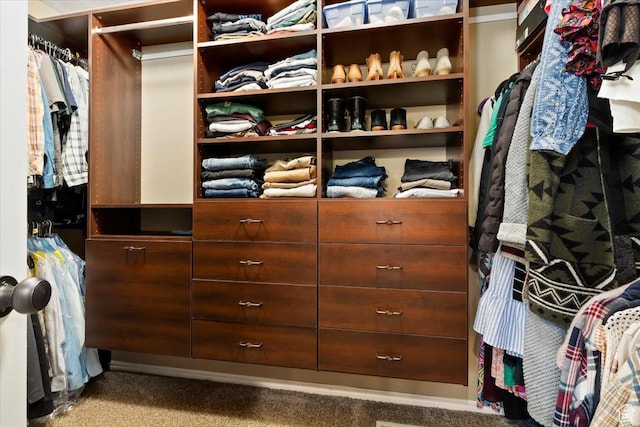 spacious closet featuring carpet