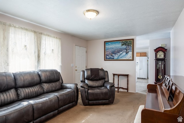 1083 N 1250 W, Layton, UT 84041 - living area featuring light carpet