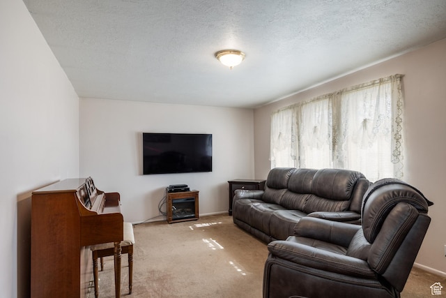 1083 N 1250 W, Layton, UT 84041 - living room featuring light carpet, baseboards, and a textured ceiling