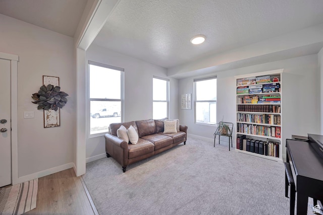 living area with a textured ceiling, wood finished floors, and baseboards