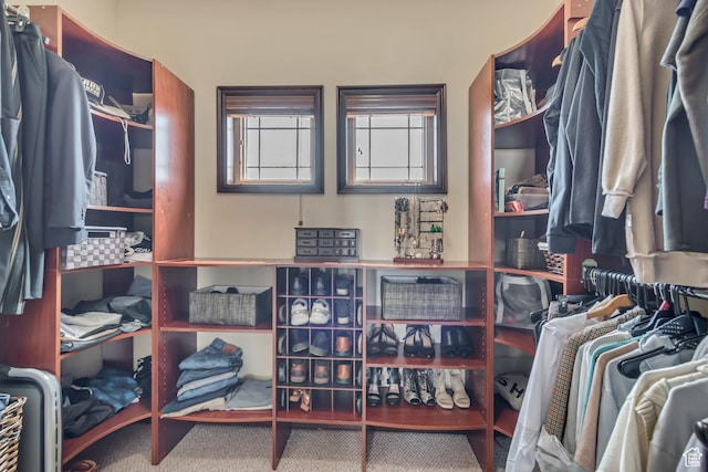 spacious closet featuring carpet