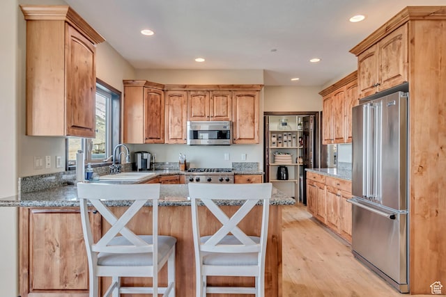 kitchen featuring a sink, light wood-type flooring, a peninsula, recessed lighting, and stainless steel appliances
