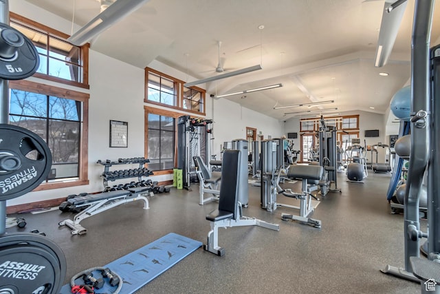 exercise room featuring a ceiling fan, plenty of natural light, and lofted ceiling