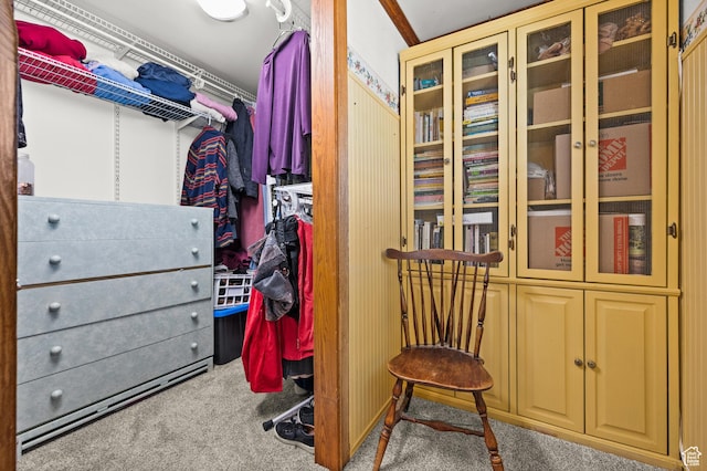 146 W 400 S, Tooele, UT 84074 - walk in closet with carpet