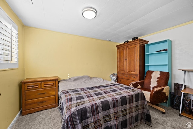 146 W 400 S, Tooele, UT 84074 - view of carpeted bedroom