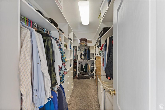 106 N Bear River Blfs, Preston, ID 83263 - walk in closet with carpet flooring