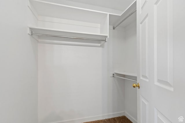 walk in closet featuring carpet flooring
