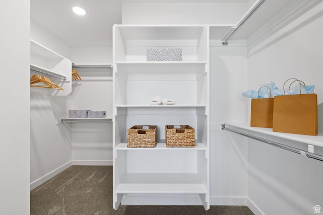 199 N Mia Cv E Unit 12, Saratoga Springs, UT 84045 - spacious closet featuring carpet flooring