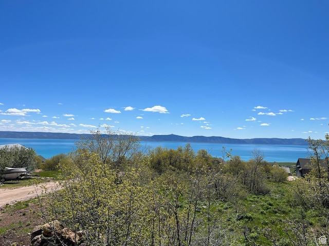 47 Juniper Dr Unit 463, Fish Haven, ID 83287