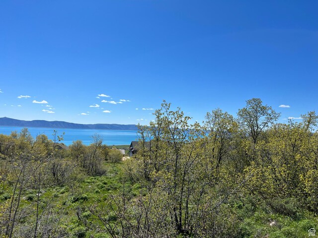 47 Juniper Dr Unit 463, Fish Haven, ID 83287