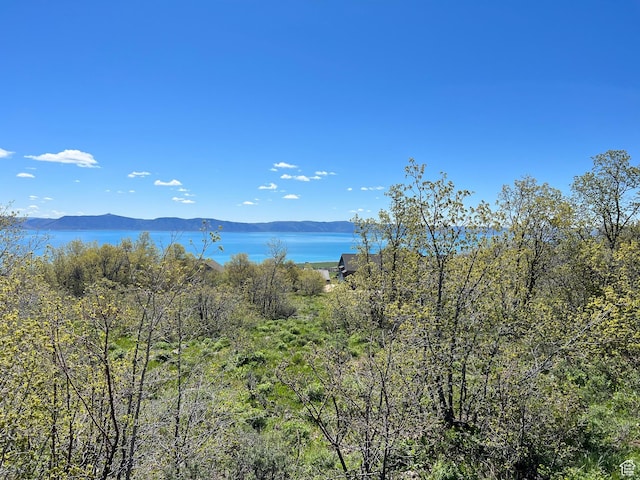 47 Juniper Dr Unit 463, Fish Haven, ID 83287