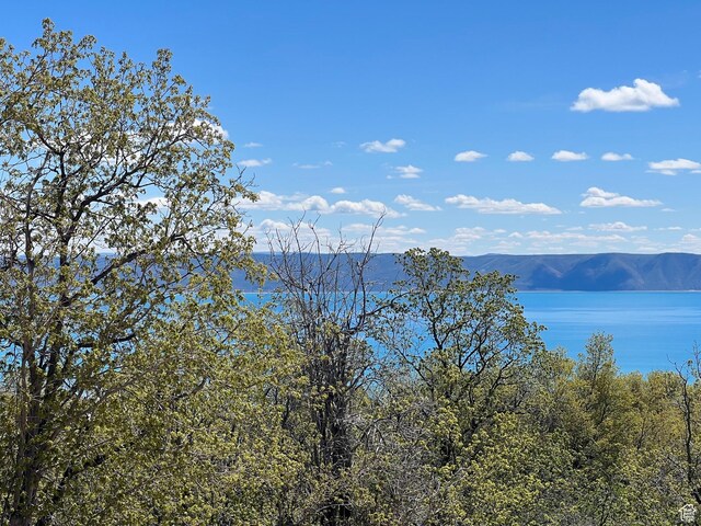 47 Juniper Dr Unit 463, Fish Haven, ID 83287