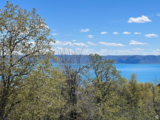 47 Juniper Dr Unit 463, Fish Haven, ID 83287